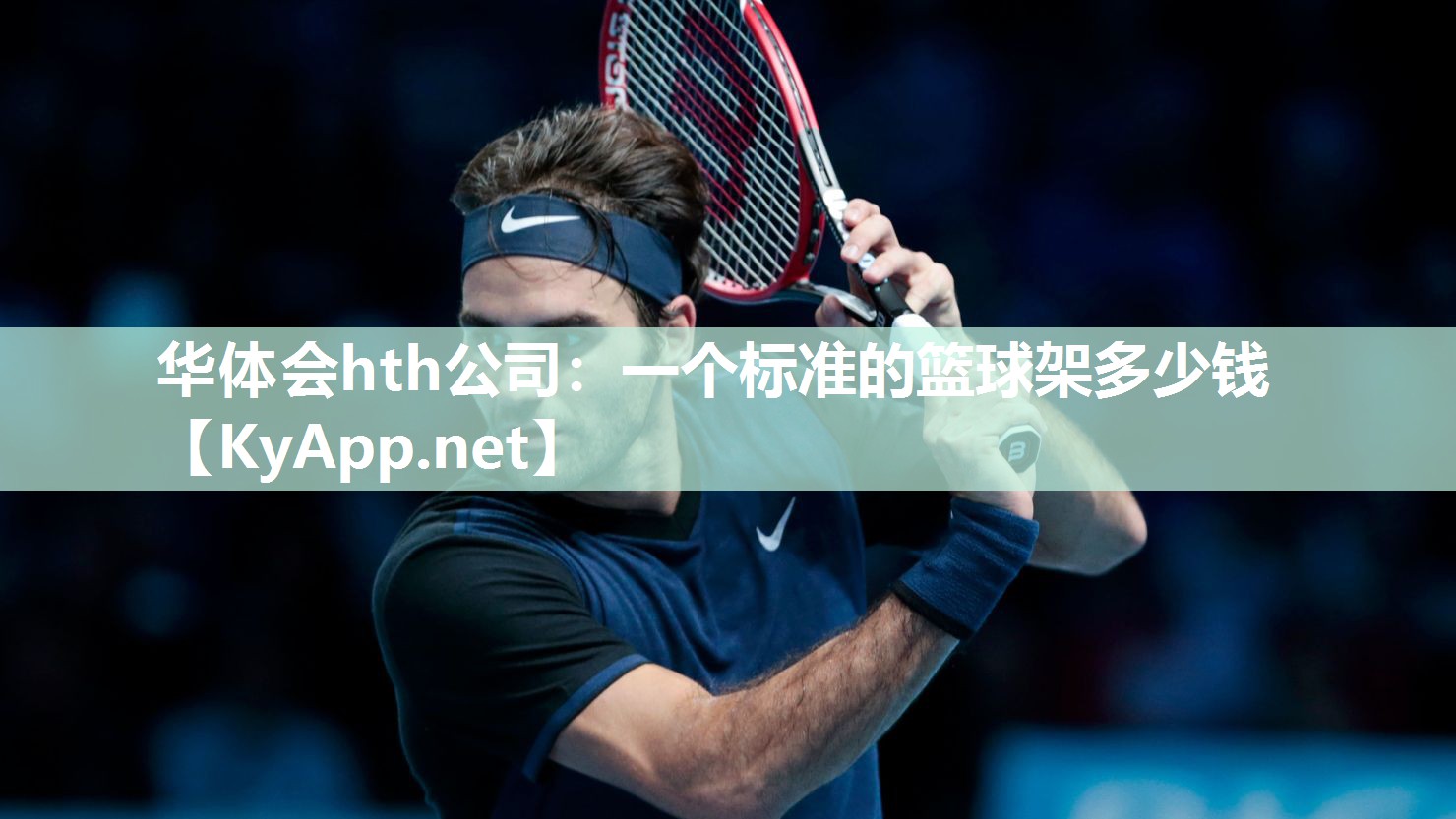 华体会hth公司：一个标准的篮球架多少钱
