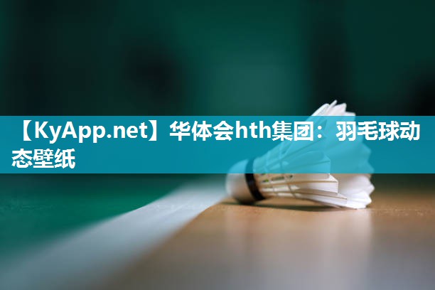 华体会hth集团：羽毛球动态壁纸