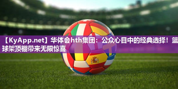 公众心目中的经典选择!篮球架顶棚带来无限惊喜 公众心目中的经典选择!篮球架顶棚带来无限惊喜