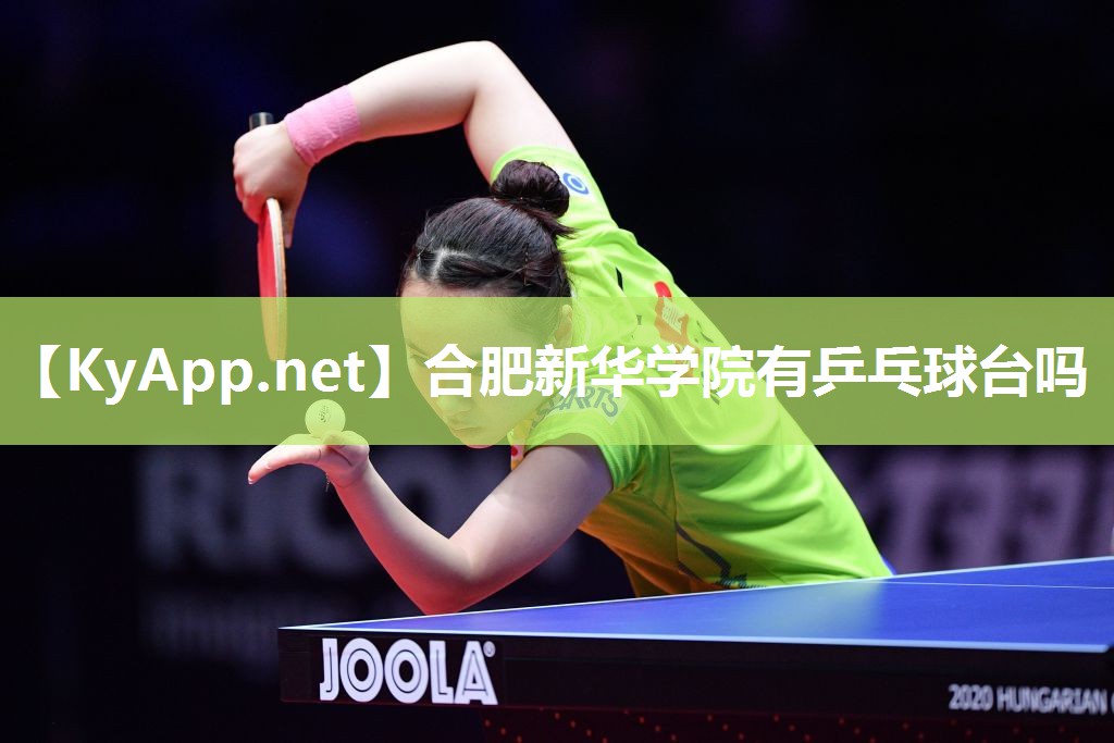合肥新华学院有乒乓球台吗 合肥新华学院有乒乓球台吗