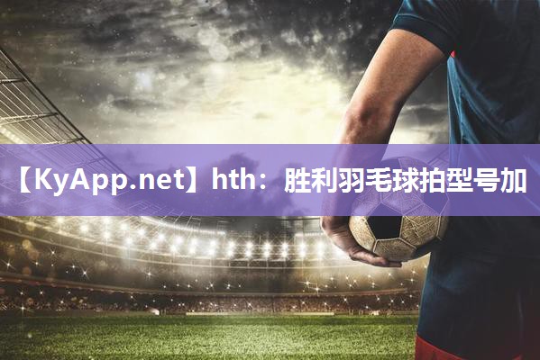 胜利羽毛球拍型号加 胜利羽毛球拍型号加