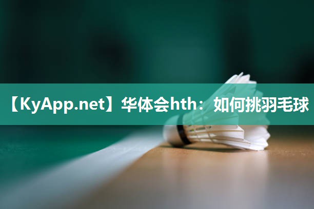 如何挑羽毛球 如何挑羽毛球