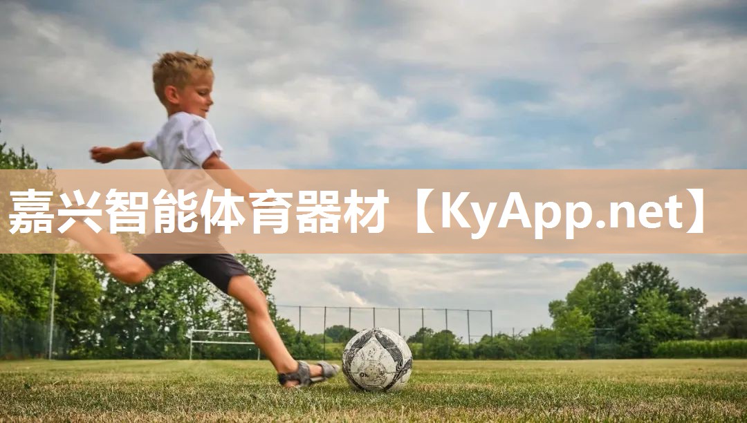 嘉兴智能体育器材 嘉兴智能体育器材